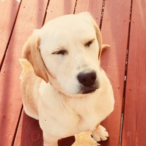 Meet your Posher, Haley